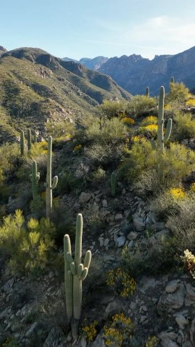 Video post from visittucson.