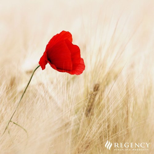 Photo post from regencyfire.