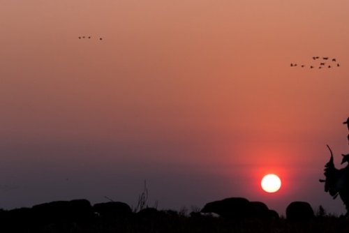 Carousel post from northernskiesoutfitters.