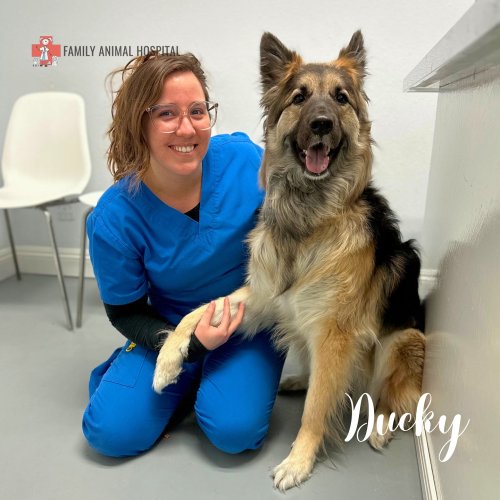 Photo post from familyanimalhospitalcm.