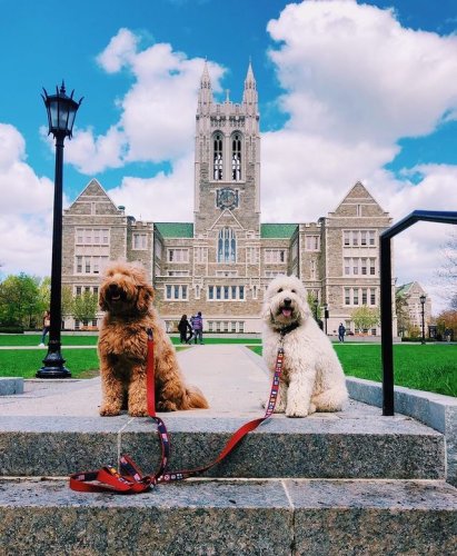 Photo post from bostoncollege.