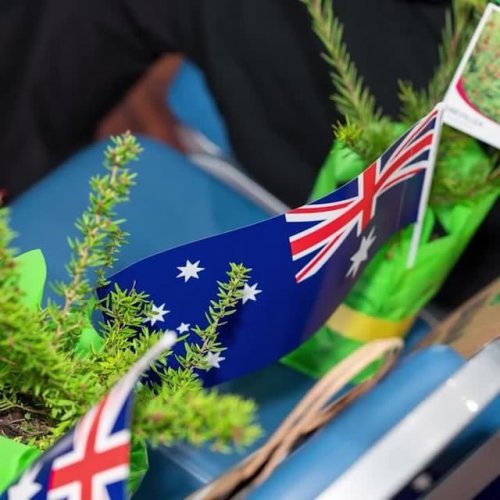 Video post from alburycity.
