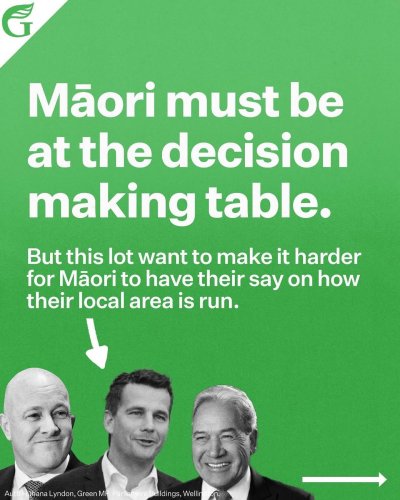 Carousel post from nzgreenparty.