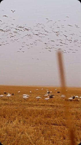 Video post from northernskiesoutfitters.