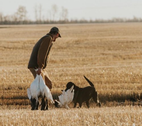 Photo post from northernskiesoutfitters.