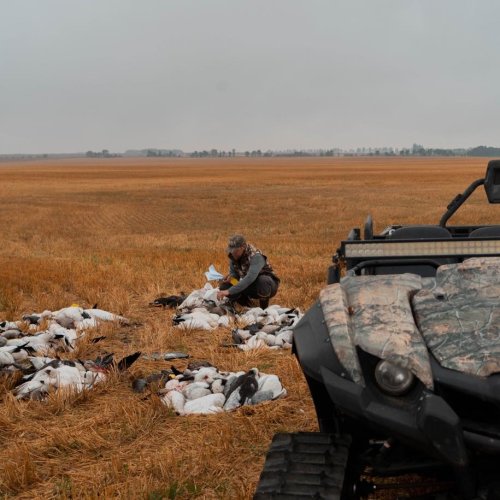 Photo post from northernskiesoutfitters.