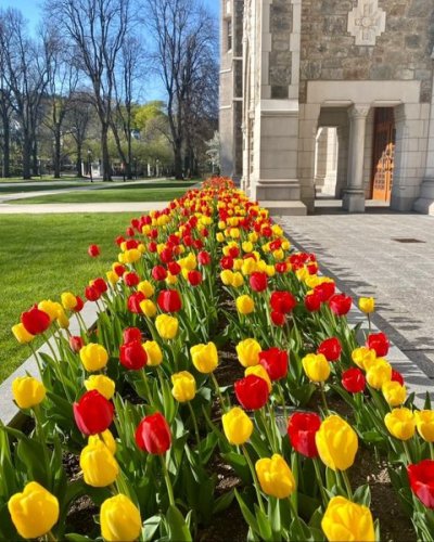 Photo post from bostoncollege.