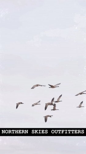 Video post from northernskiesoutfitters.