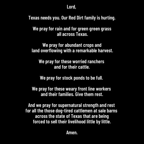 Photo post from reddirthatco.