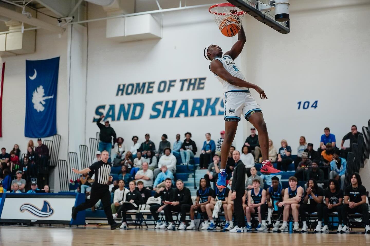 Photo post from uscbsandsharks.