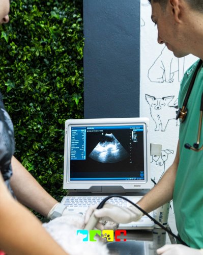 Photo post from medicalpettj.