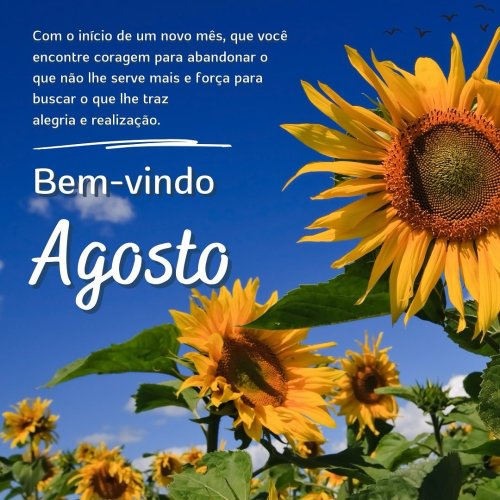 Photo post from cooperativadapiscina.