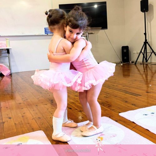 Carousel post from tinytutusballet.