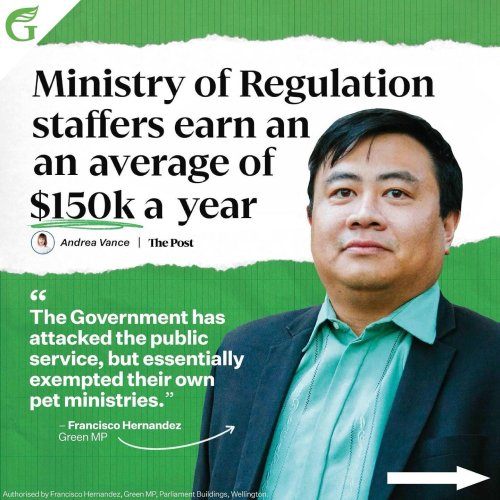 Carousel post from nzgreenparty.