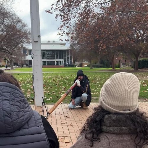 Video post from alburycity.