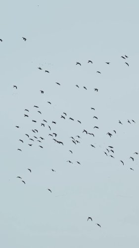 Video post from northernskiesoutfitters.