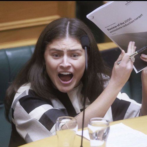 Photo post from nzgreenparty.