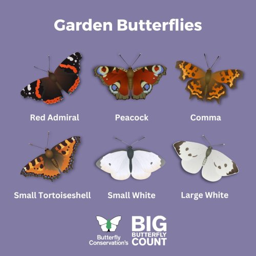 Carousel post from bramleynewspaper.