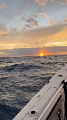 Video post from ejs_fishing_charters.