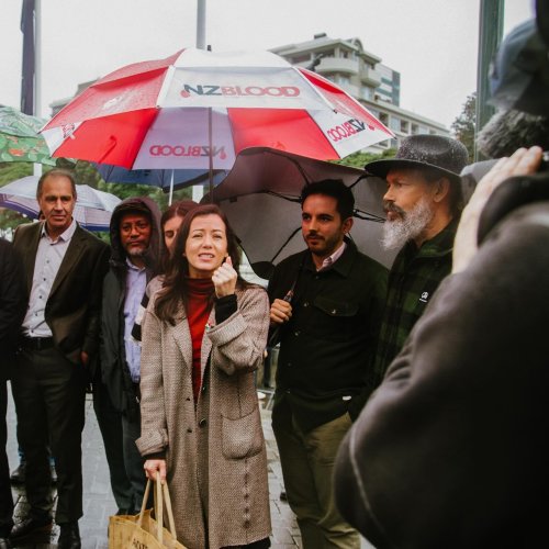 Carousel post from nzgreenparty.