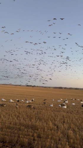 Video post from northernskiesoutfitters.