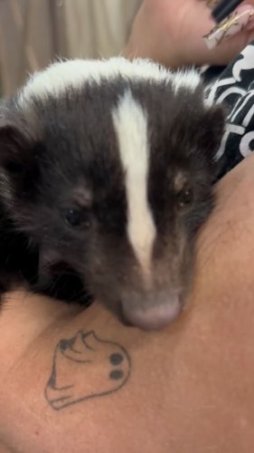 Video post from njexoticpets.