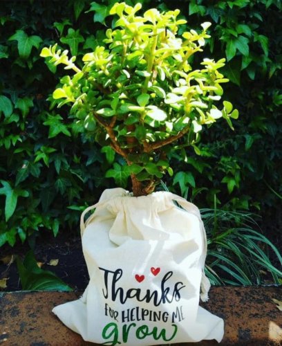 Photo post from la_gifteria.