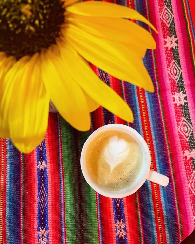 Photo post from equianocoffee.