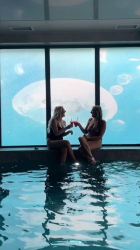 Video post from lincombe_hall.