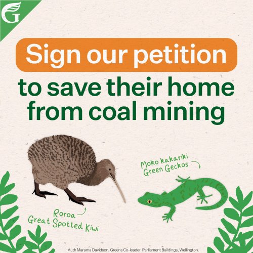 Photo post from nzgreenparty.