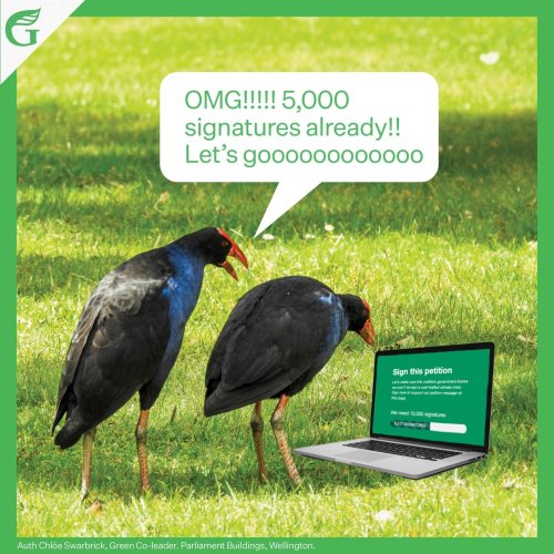 Photo post from nzgreenparty.