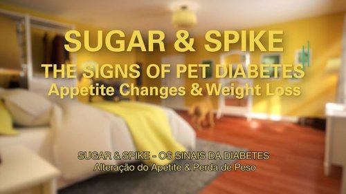Video post from clinica_veterinaria_dourosul.
