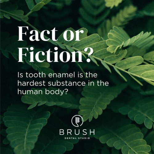 Photo post from brush.dental.studio.