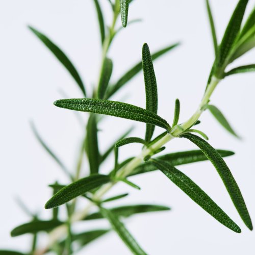 Carousel post from dermed_official.