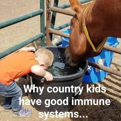 Photo post from reddirthatco.