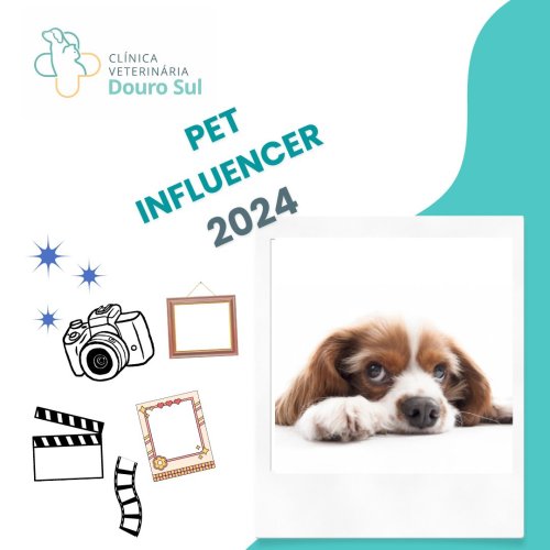 Photo post from clinica_veterinaria_dourosul.
