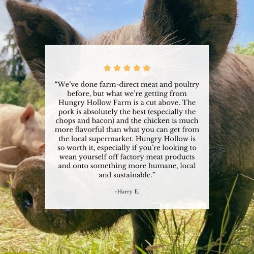 Photo post from hungryhollowfarm.