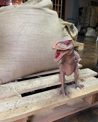 Photo post from equianocoffee.