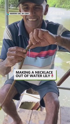 Video post from explorgreen.