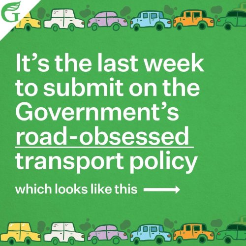Carousel post from nzgreenparty.