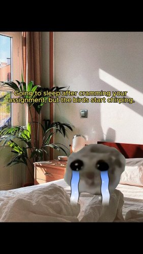 Video post from monashcoding.