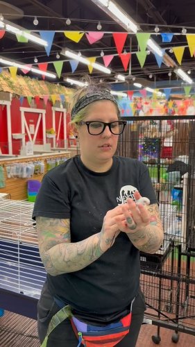 Video post from njexoticpets.