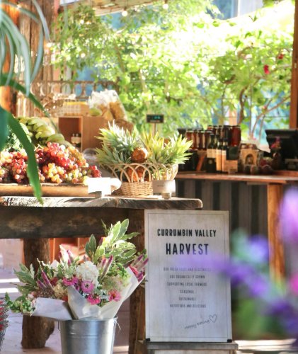 Photo post from currumbinvalleyharvest.