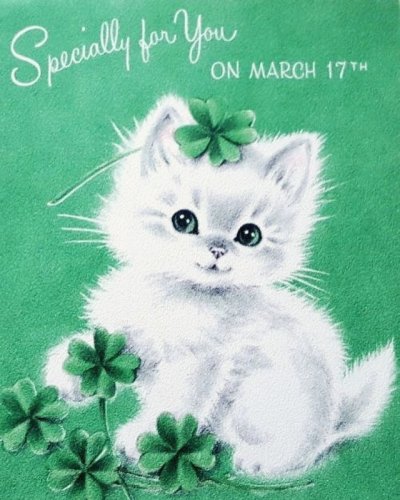 Photo post from margaritabloom.