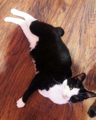 Photo post from margaritabloom.