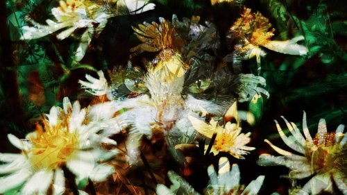 Photo post from jakbobby.