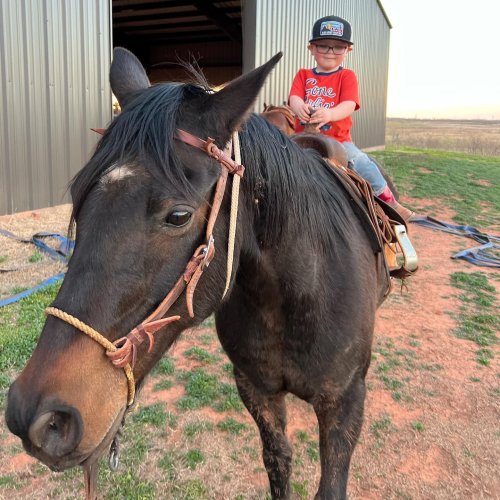 Carousel post from reddirthatco.