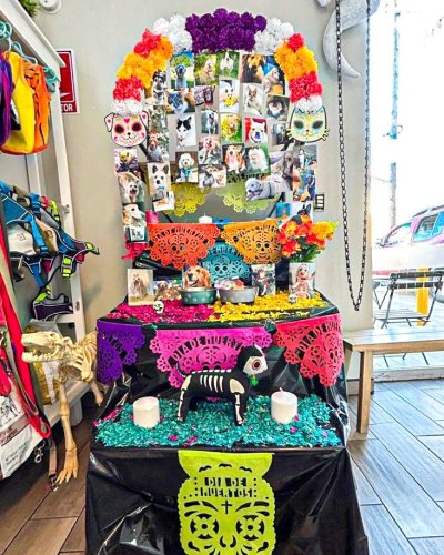 Carousel post from medicalpettj.