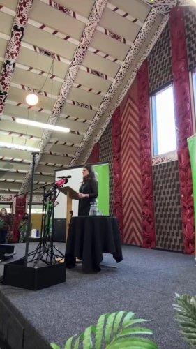 Video post from nzgreenparty.