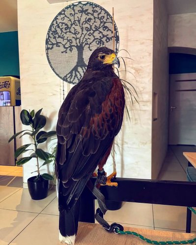 Photo post from sun_sushi_restaurant.